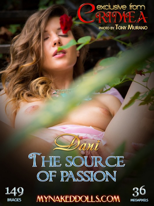 Dani - The Source Of Passion
