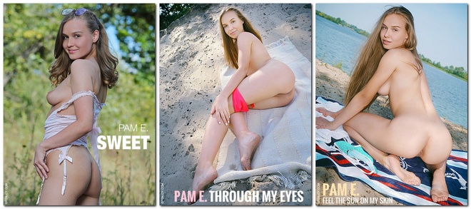 Pam E - FemJoy - Photoset Pack 2016-2022