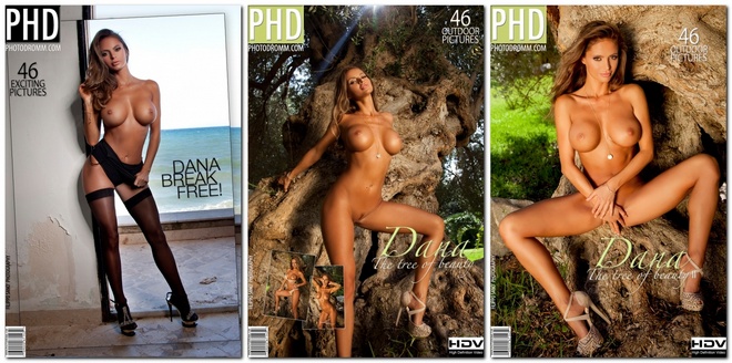 Dana Harem - PhotoDromm -  Photo and Video Pack 2014-2015