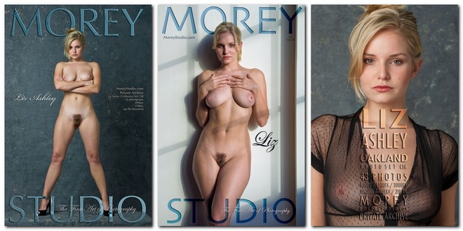 Liz Ashley - MoreyStudio - Content Updates 2025-2026