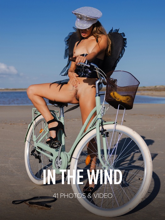 [W-4-B] Irene Rouse - In The Wind